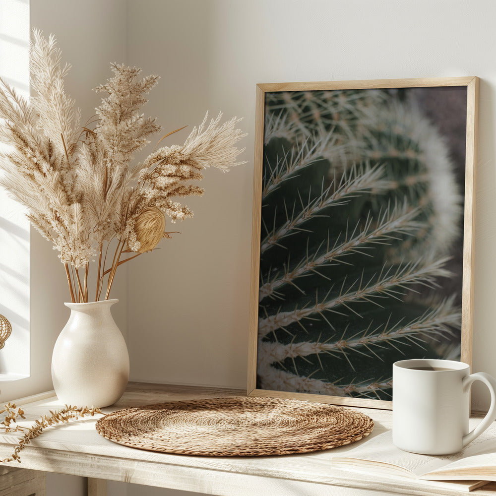 Cactus II Poster